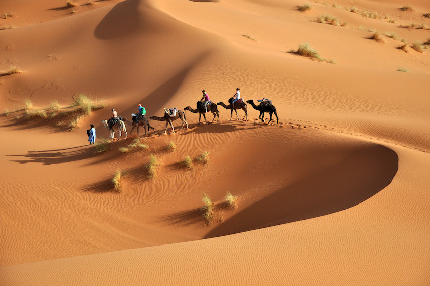 Kamelwanderung in Wüste